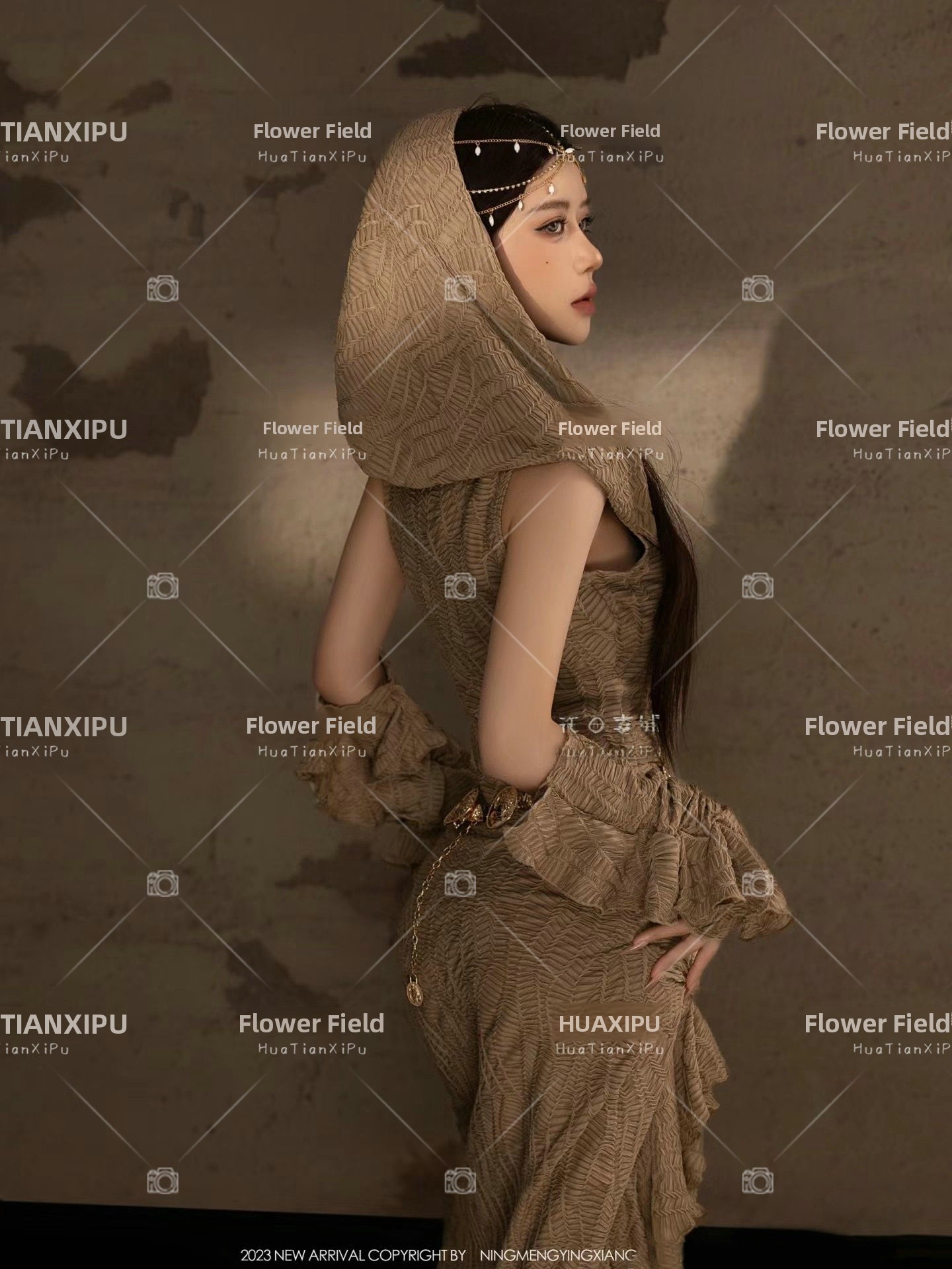 New Desert  Princess Style Pho - đánh giá và giá Ethnic Fashion Photography